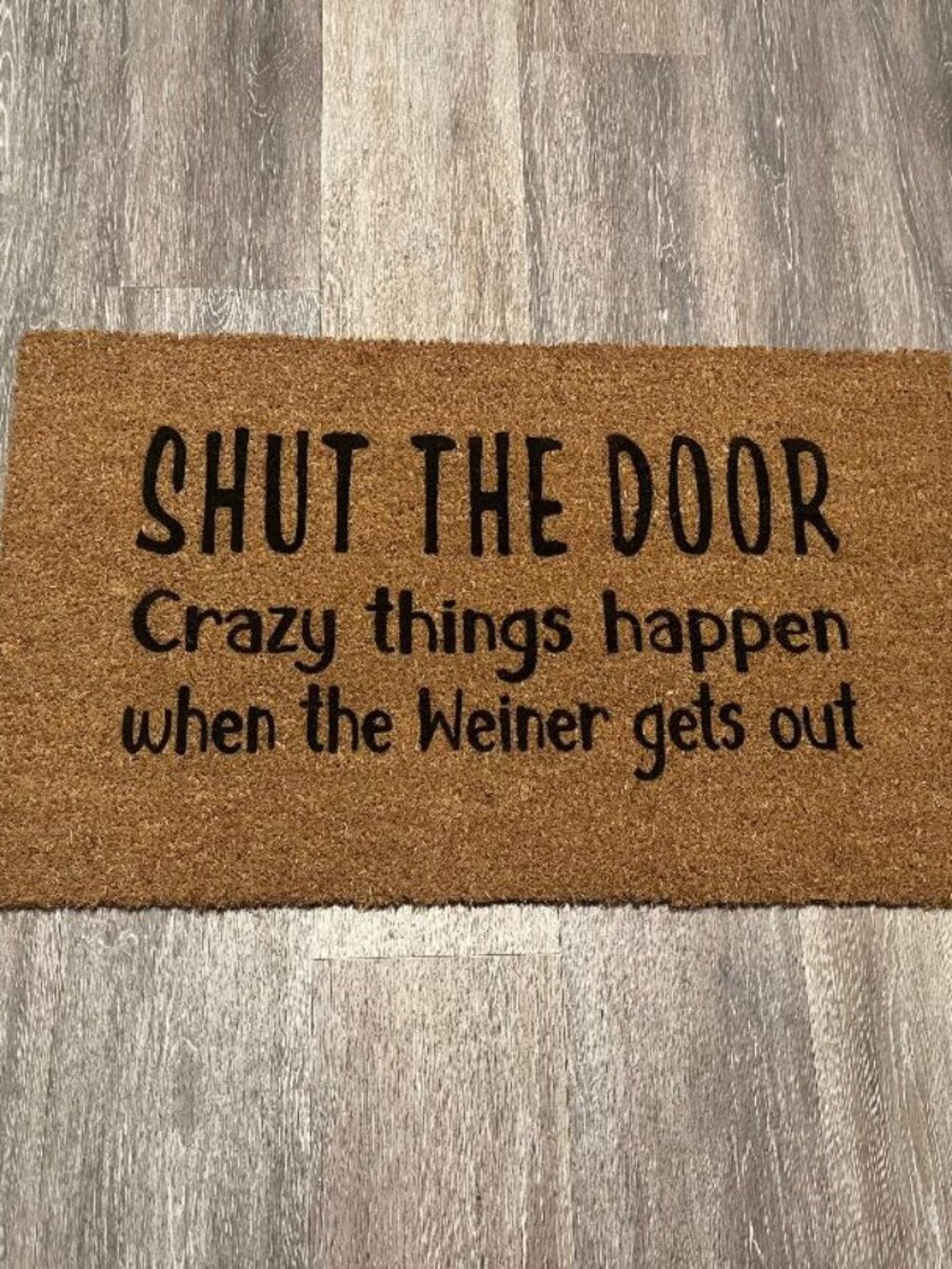 SHUT the DOOR Crazy things happen when the weiner gets out decorative doormat
